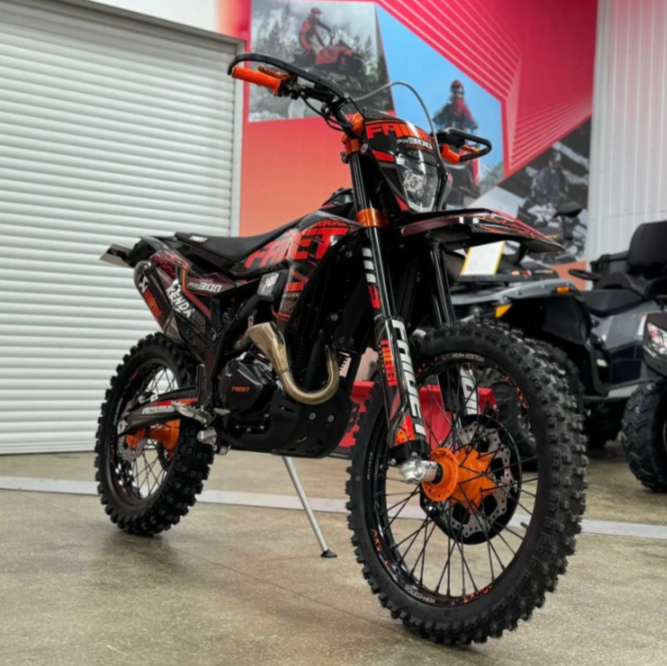 Кроссовый мотоцикл FAIDET PR300 MAX WP в Сызрани