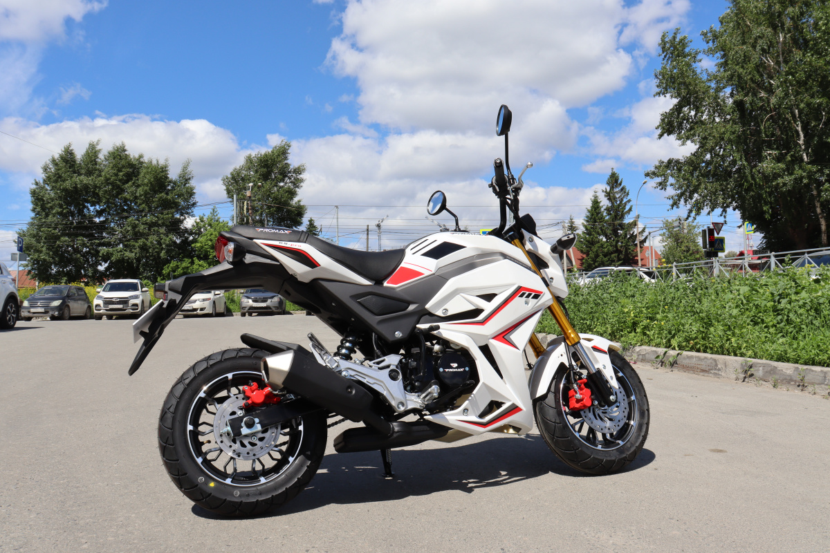 Мотоцикл PROMAX STRYKER 200(49) 2.0 в Сызрани