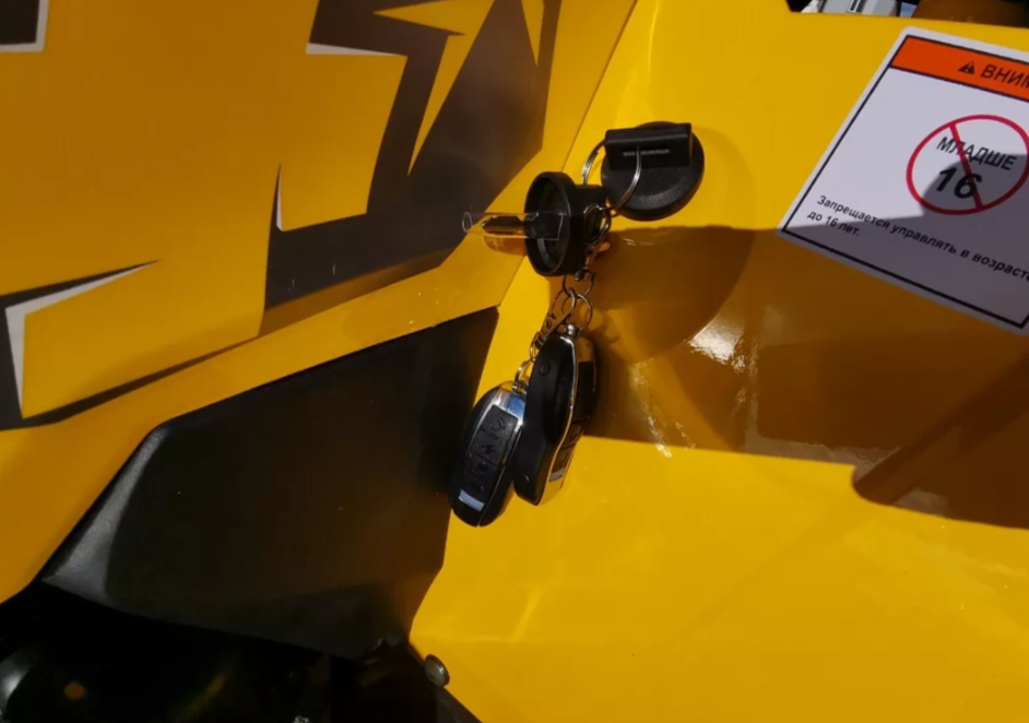 Квадроцикл MOTOLAND (МОТОЛЕНД) VOX200 WILD TRACK X PRO (баланс. вал) в Сызрани