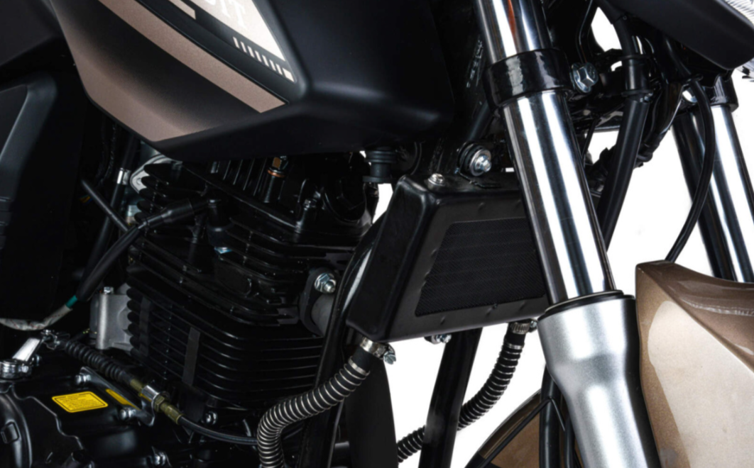 Мотоцикл MOTOLAND (МОТОЛЕНД) 300 BANDIT в Сызрани