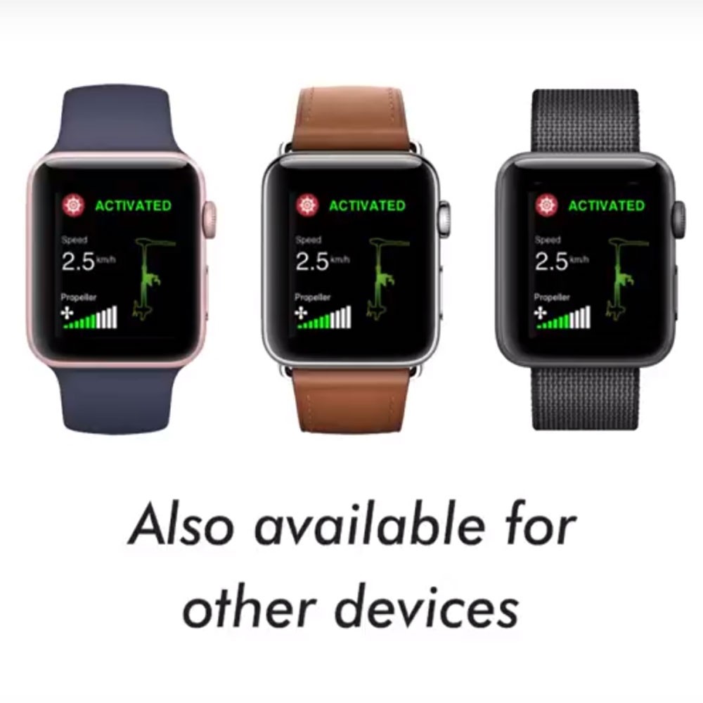 Лодочный электромотор якорь Haswing Cayman B, GPS, 12V, 55Lbs, нога 137 мм в Сызрани