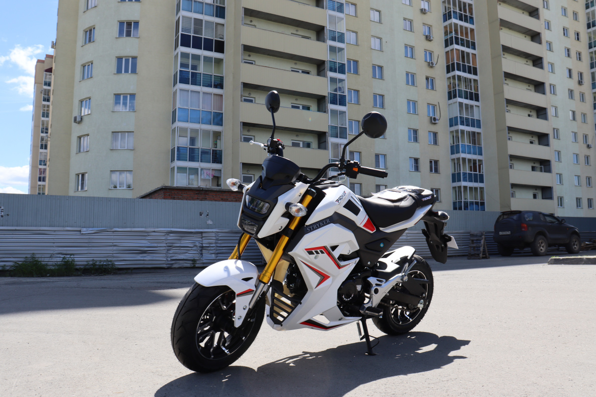 Мотоцикл PROMAX STRYKER 200(49) 2.0 в Сызрани