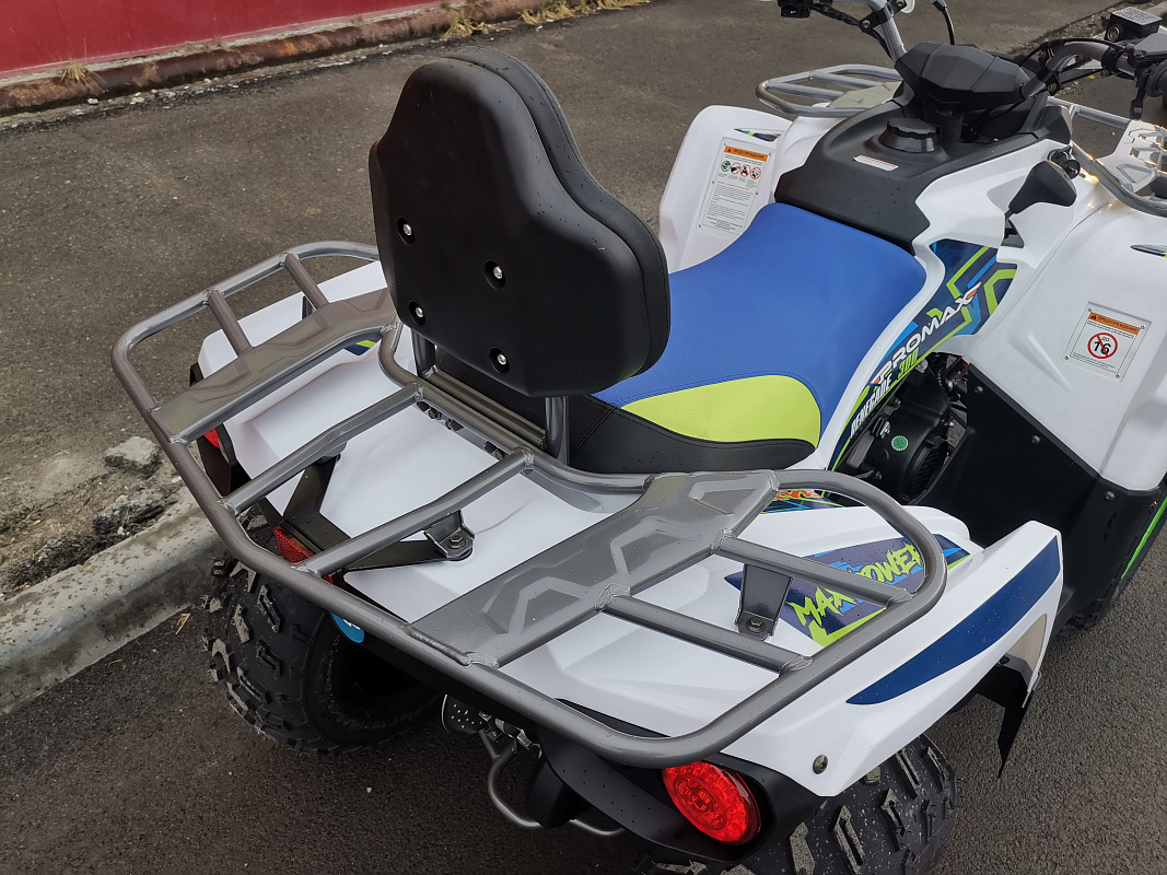 Квадроцикл PROMAX RENEGADE 280 LUX (2025) в Сызрани