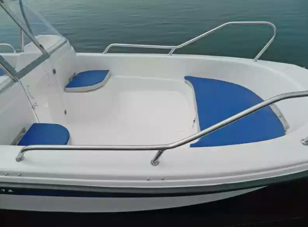 Стеклопластиковый катер Wyatboat-430 DCM (тримаран) в Сызрани