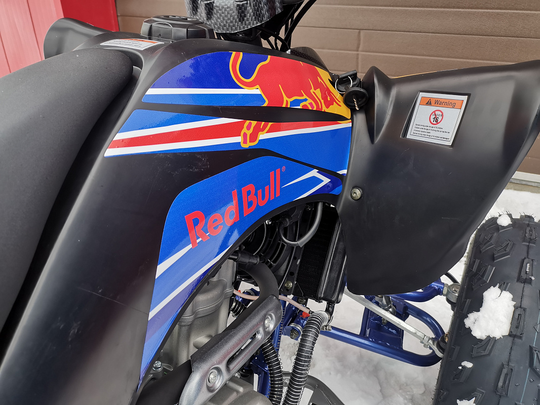 Квадроцикл PROMAX RAPTOR 300 NEW RedBull в Сызрани