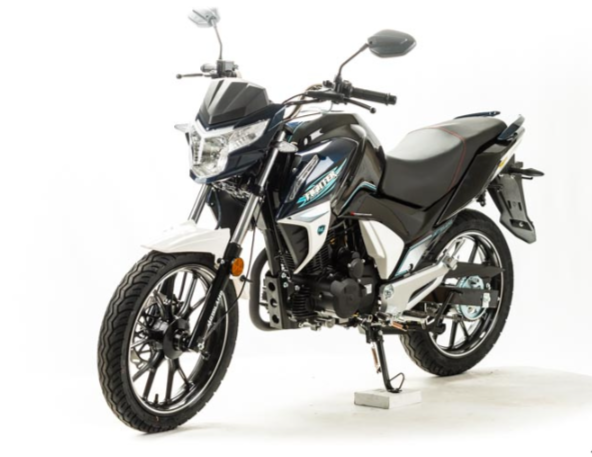 Мотоцикл MOTOLAND (МОТОЛЕНД) FIGHTER 250 в Сызрани