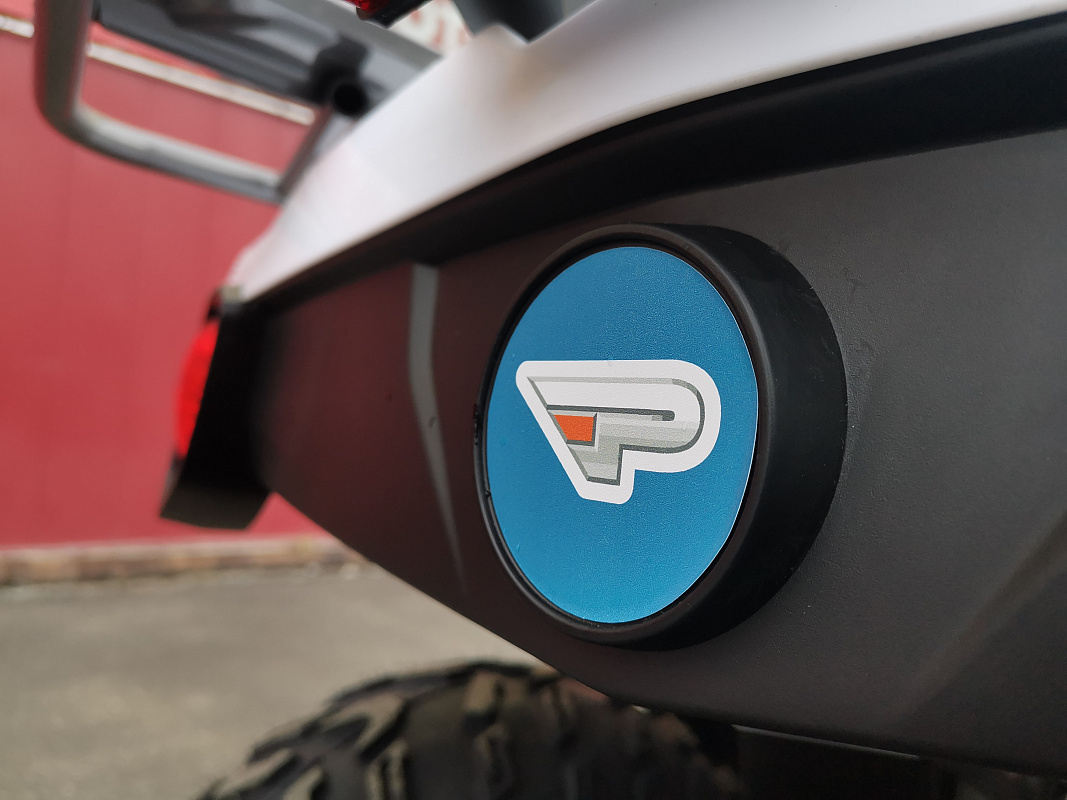 Квадроцикл PROMAX RENEGADE 280 LUX (2025) в Сызрани