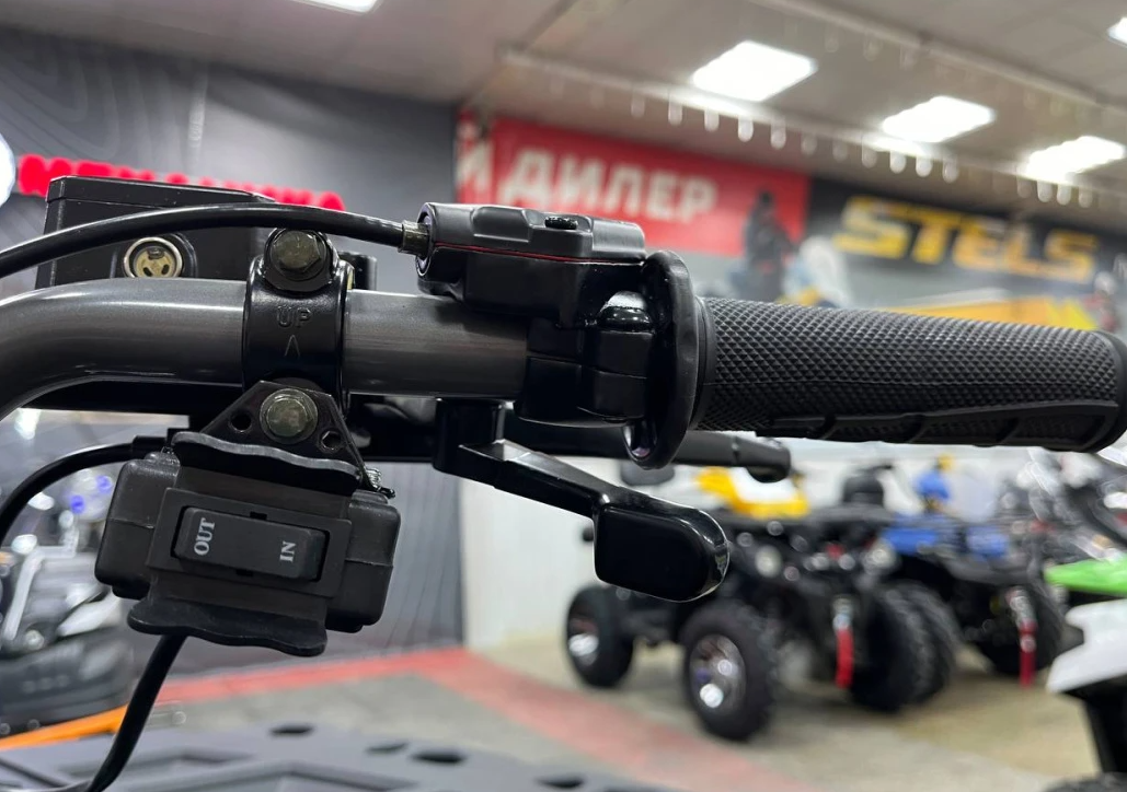 Квадроцикл PROMAX RENEGADE 300 LONG WINCH PRO (2025) в Сызрани