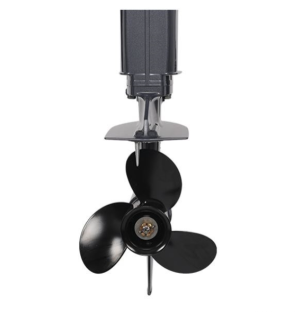 Лодочный мотор ALLFA CG Т40FW S в Сызрани