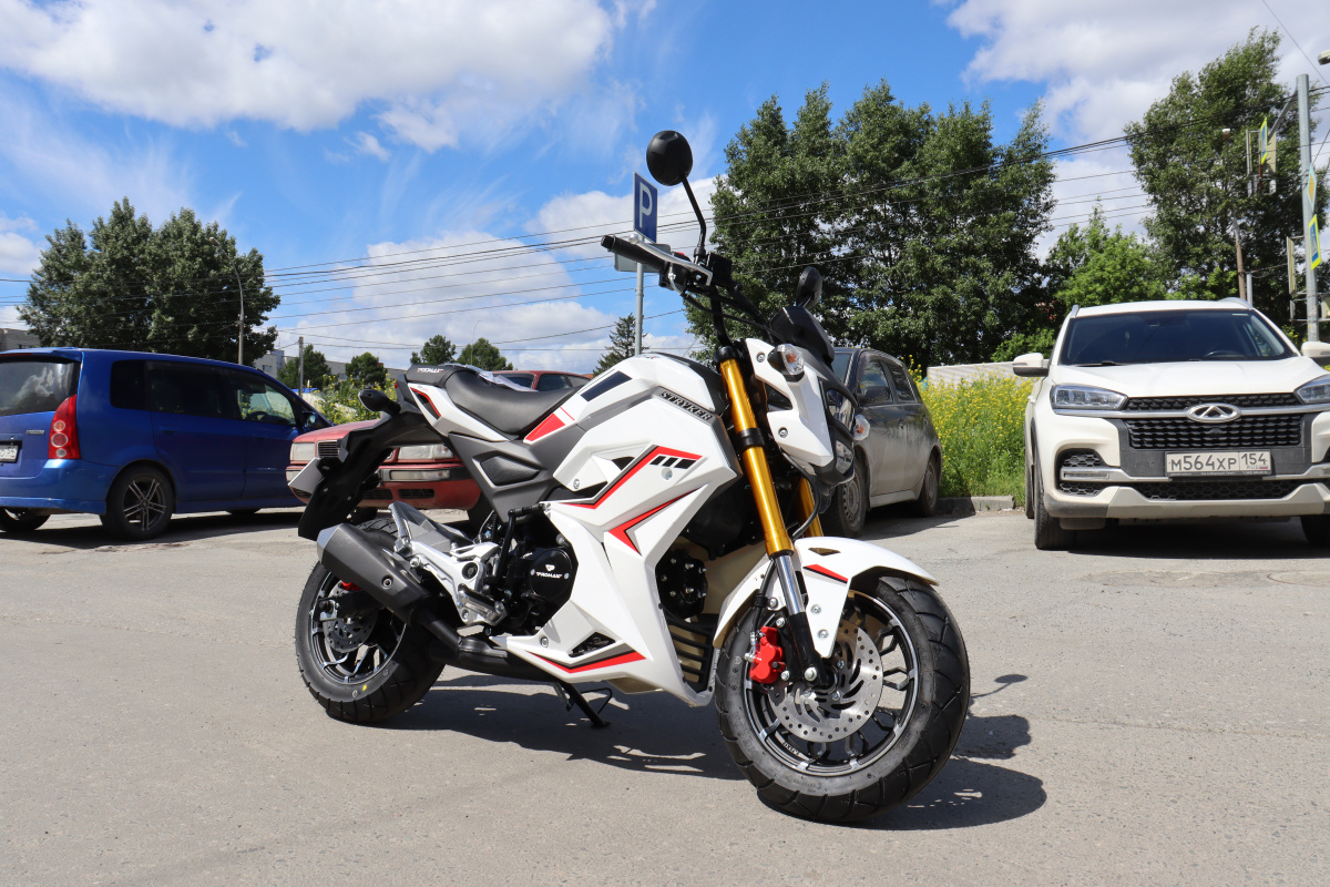 Мотоцикл PROMAX STRYKER 200(49) 2.0 в Сызрани