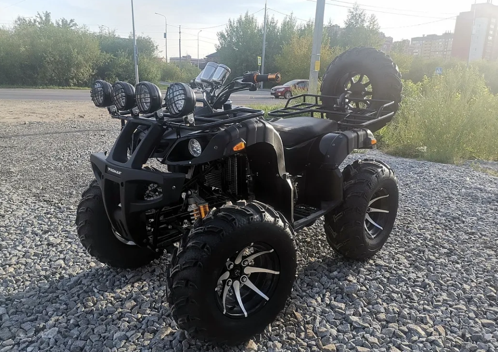 Квадроцикл PROMAX LEO 300 Max (кардан) в Сызрани