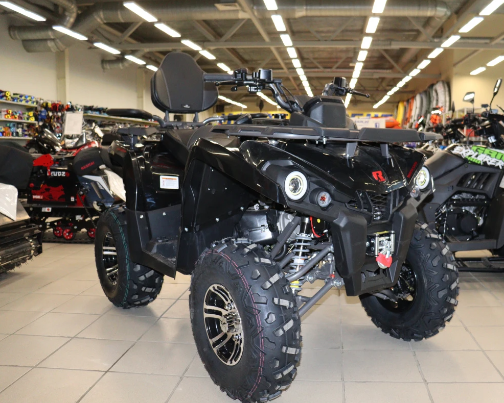Квадроцикл PROMAX RENEGADE 300 LONG WINCH PRO (2025) в Сызрани
