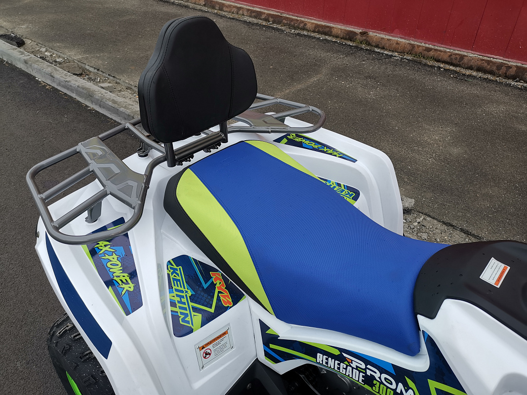 Квадроцикл PROMAX RENEGADE 280 LUX (2025) в Сызрани