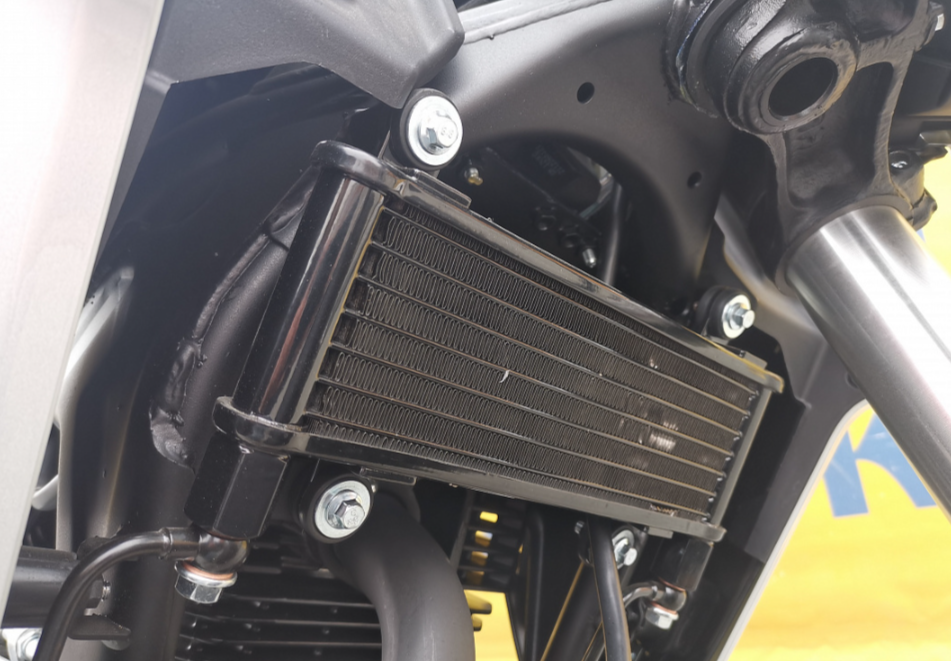 Мотоцикл MOTOLAND (МОТОЛЕНД) 250 CB250 (172FMM-5/PR250) (2022 г.) в Сызрани