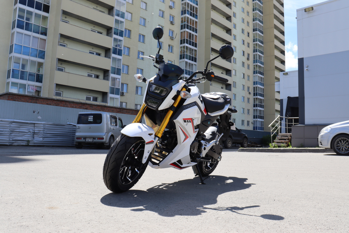 Мотоцикл PROMAX STRYKER 200(49) 2.0 в Сызрани