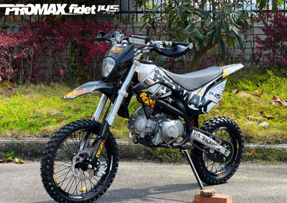 Мотоцикл (питбайк) PROMAX FIDET (ФАЙДЕТ) 145E PRO 17/14 в Сызрани