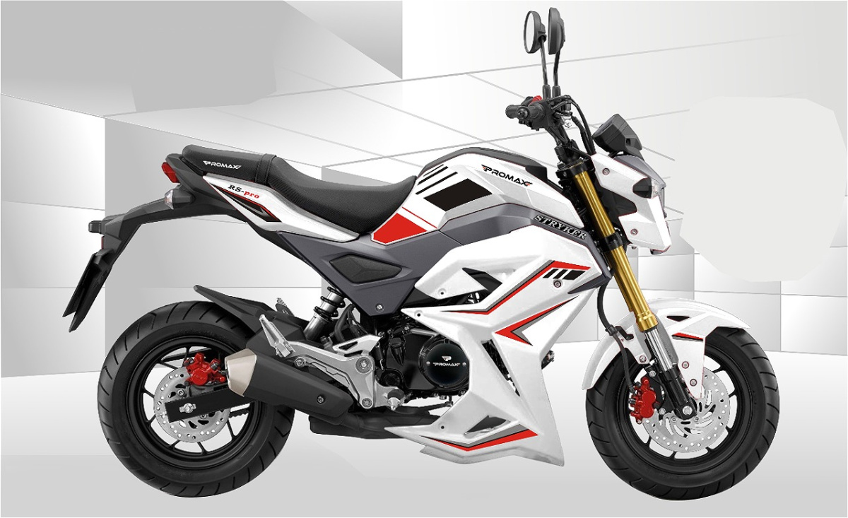 Мотоцикл PROMAX STRYKER 200(49) 2.0 в Сызрани