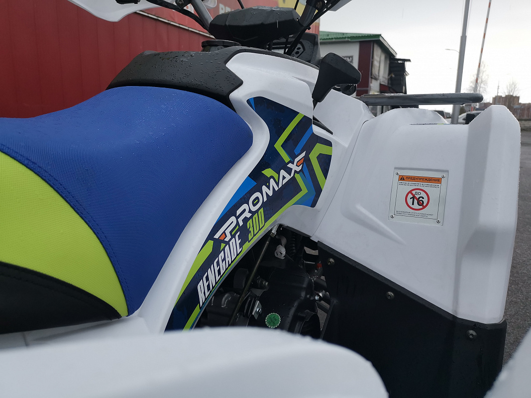 Квадроцикл PROMAX RENEGADE 280 LUX (2025) в Сызрани