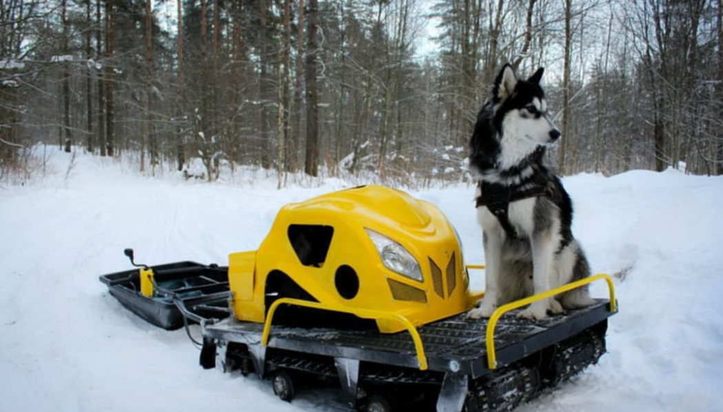 Мотобуксировщик LEBEDEV MOTORS ВОЛКОДАВ POWER V13 в Сызрани