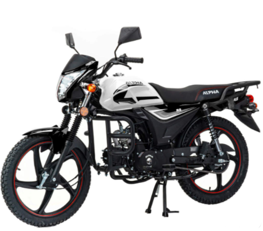 Мопед MOTOLAND (МОТОЛЕНД) Альфа RS 11 (LM48-B) в Сызрани