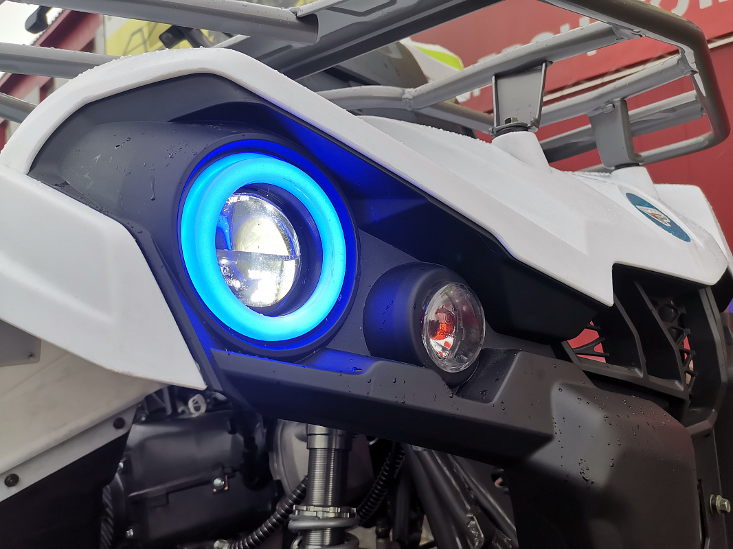 Квадроцикл PROMAX RENEGADE 280 LUX (2025) в Сызрани