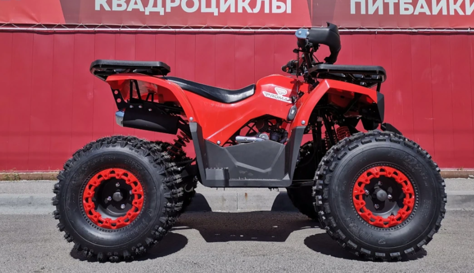 Квадроцикл PROMAX WILD 175 BASIC в Сызрани