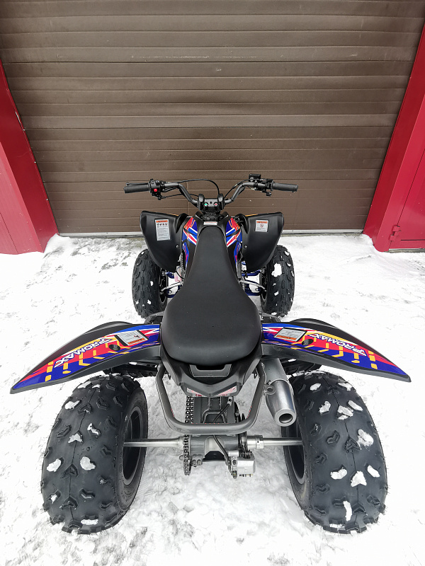 Квадроцикл PROMAX RAPTOR 300 NEW RedBull в Сызрани