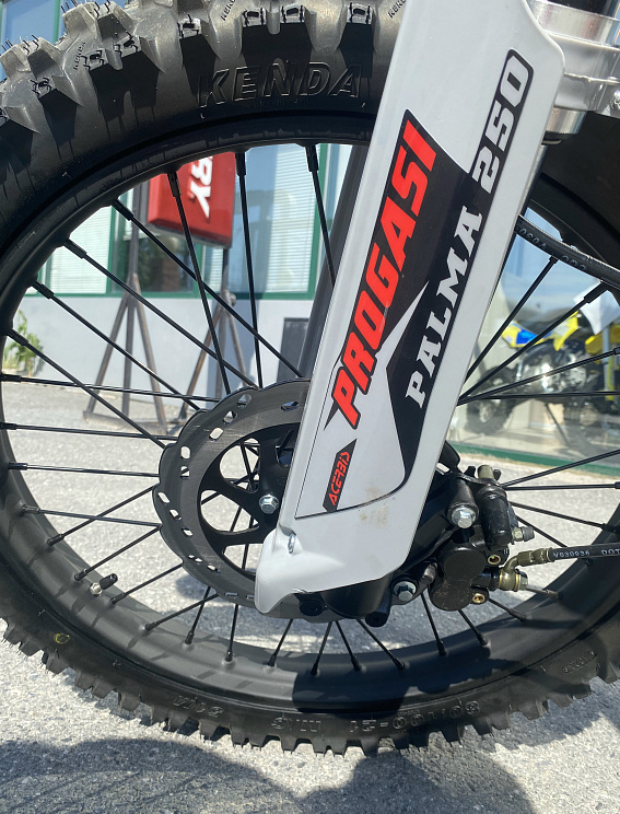 Мотоцикл Progasi PALMA 250SE в Сызрани