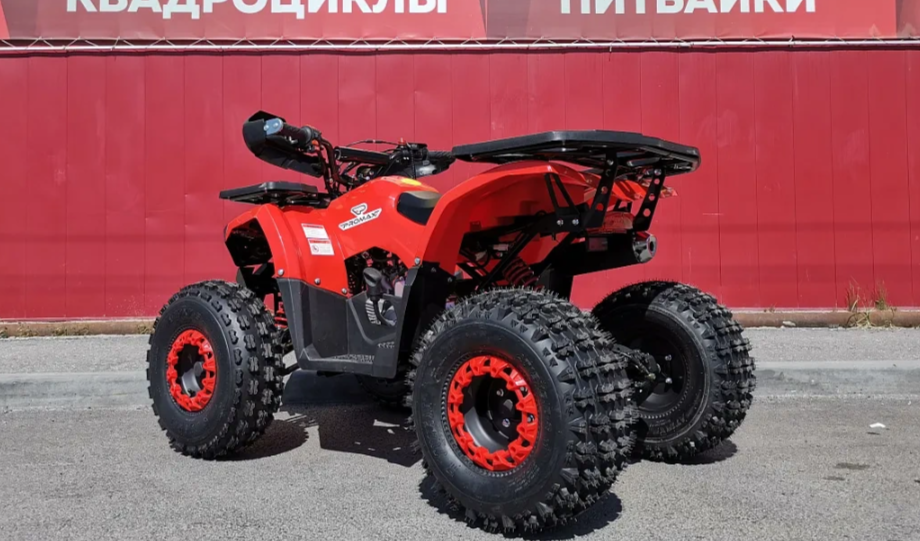Квадроцикл PROMAX WILD 175 BASIC в Сызрани
