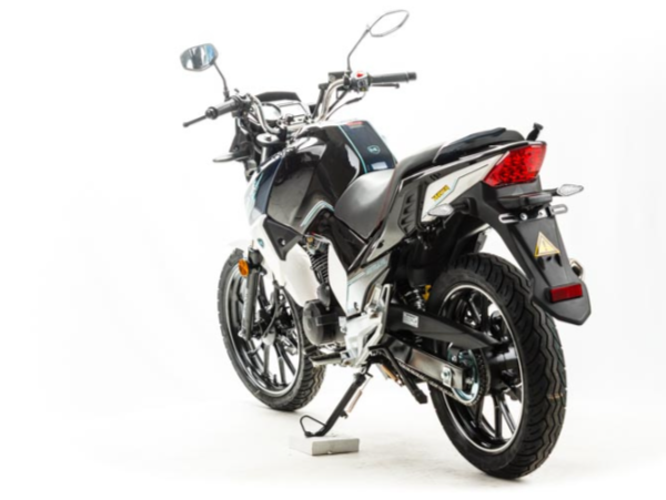 Мотоцикл MOTOLAND (МОТОЛЕНД) FIGHTER 250 в Сызрани