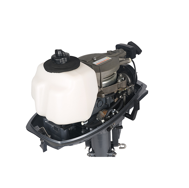 ЛОДОЧНЫЙ МОТОР ALLFA CG T5 в Сызрани