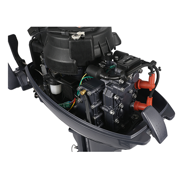 ЛОДОЧНЫЙ МОТОР ALLFA CG Т9,9 в Сызрани