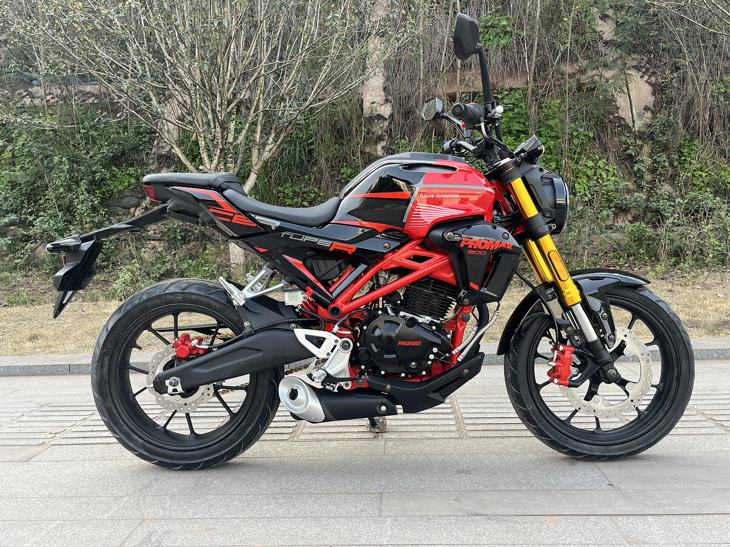 Мотоцикл PROMAX CB300 в Сызрани