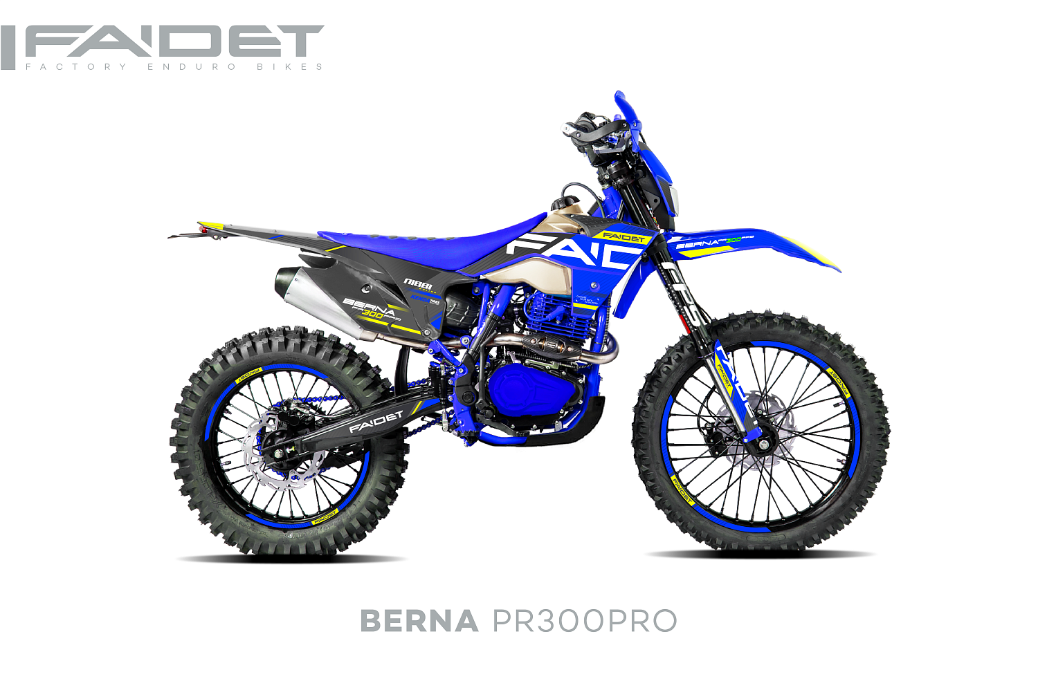 Кроссовый мотоцикл FAIDET BERNA PR300-PRO FPS в Сызрани