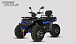 Квадроцикл PROMAX TAURUS 300 MAX-PRO LONG в Сызрани