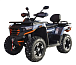 Квадроцикл MOTOLAND (МОТОЛЕНД) 300 MAX X в Сызрани