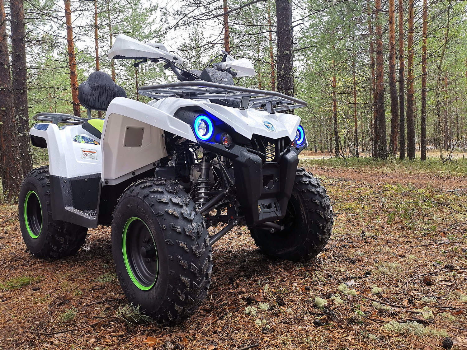 Квадроцикл PROMAX RENEGADE 280 (2025) в Сызрани