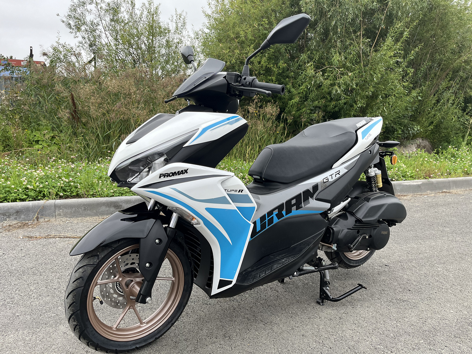 Скутер PROMAX TURAN 250 (49) в Сызрани