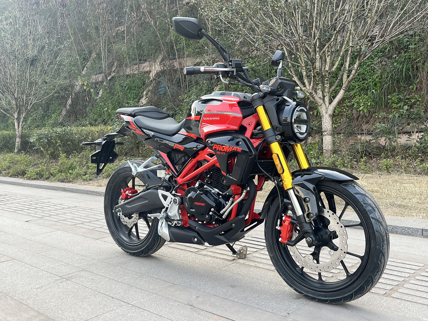 Мотоцикл PROMAX CB300 в Сызрани