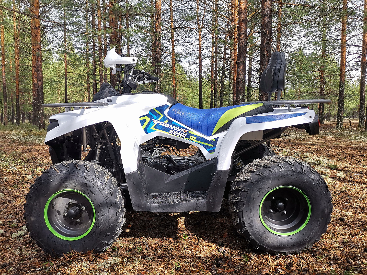 Квадроцикл PROMAX RENEGADE 280 (2025) в Сызрани