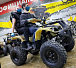 Квадроцикл PROMAX ATV 250 (2025) в Сызрани