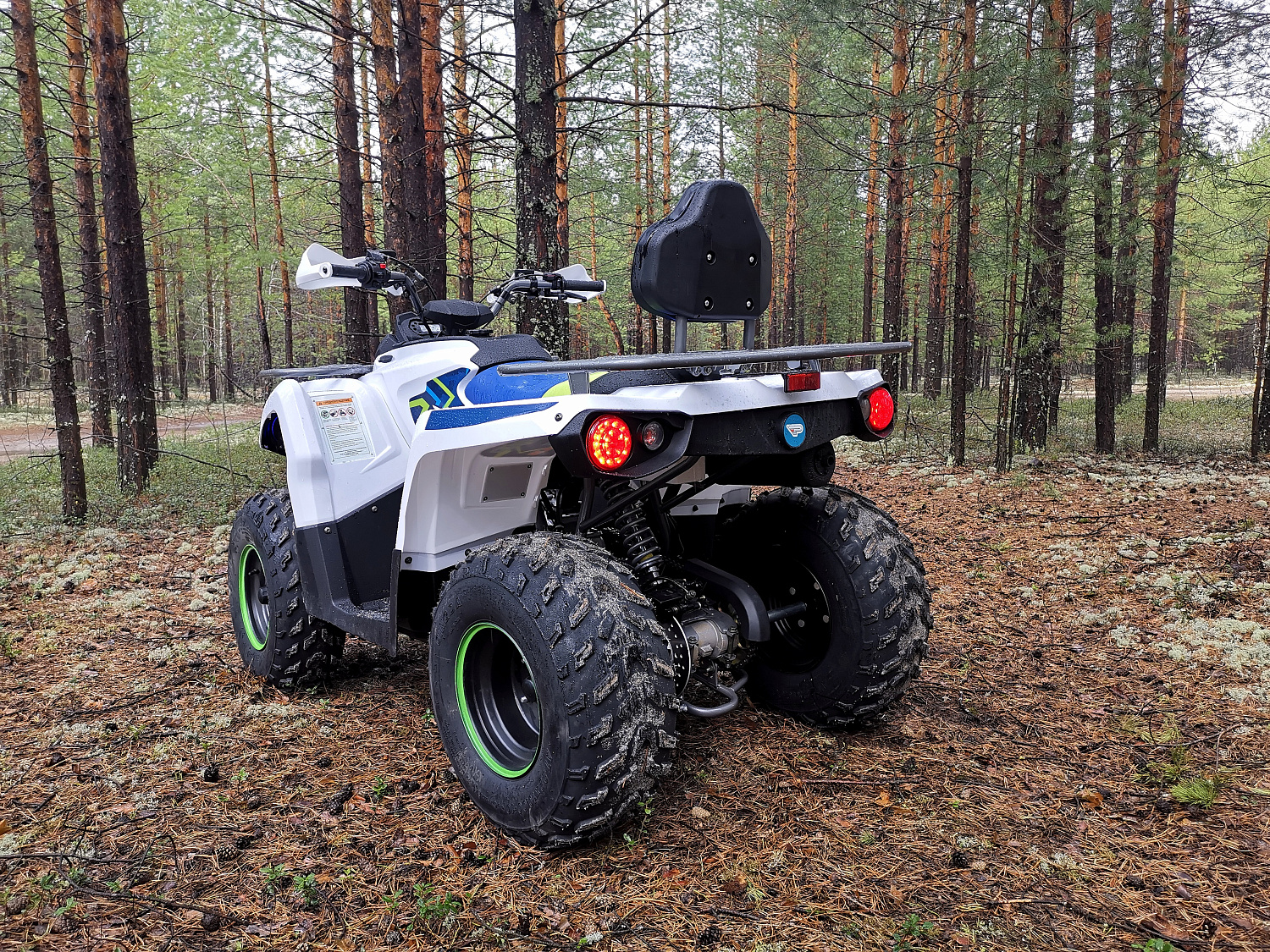 Квадроцикл PROMAX RENEGADE 280 (2025) в Сызрани
