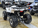 Квадроцикл PROMAX WILD 2.0 190 LUX в Сызрани