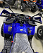 Квадроцикл PROMAX WILD 2.0 190 PRO (2025) в Сызрани