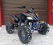 Квадроцикл PROMAX RAPTOR 300 NEW RedBull в Сызрани