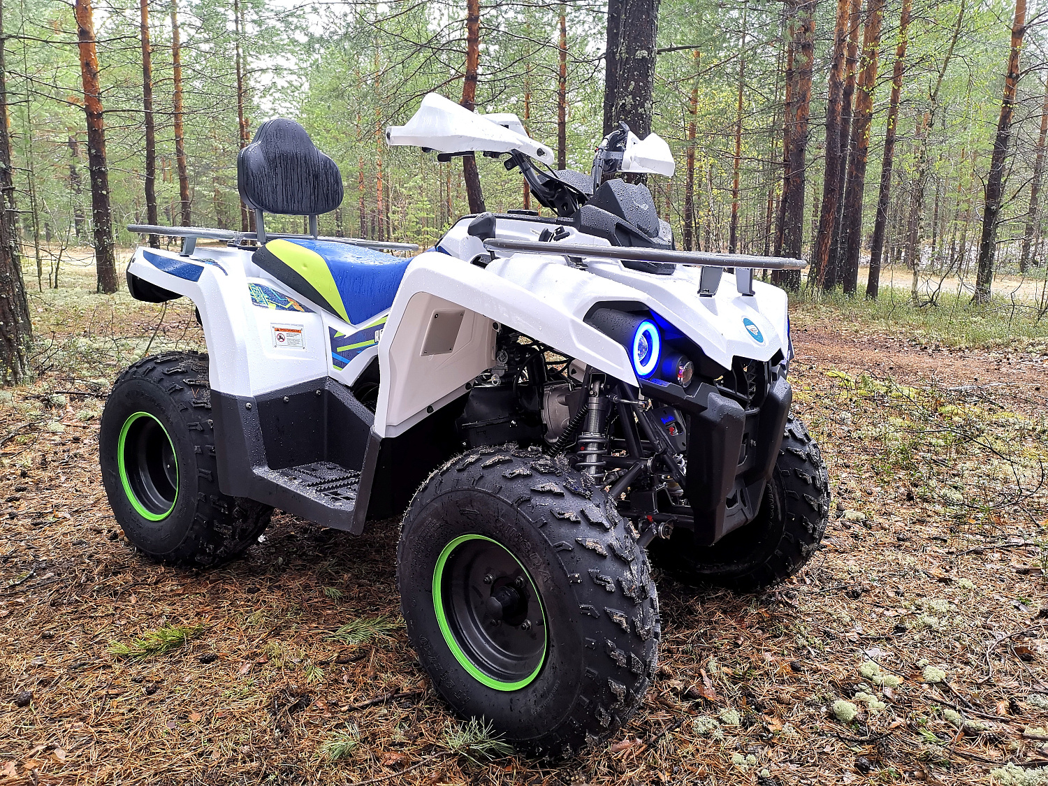 Квадроцикл PROMAX RENEGADE 280 (2025) в Сызрани