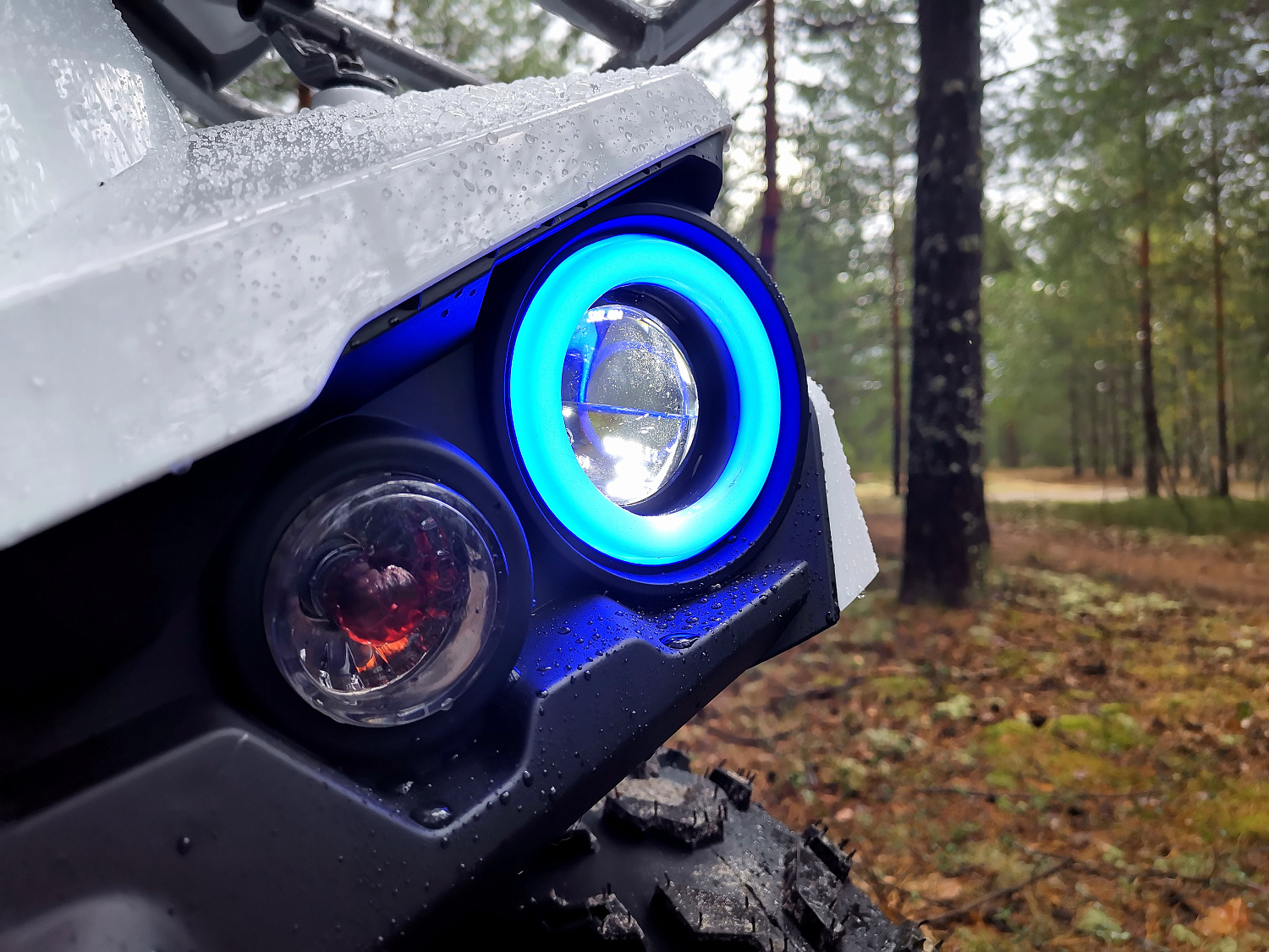 Квадроцикл PROMAX RENEGADE 280 (2025) в Сызрани