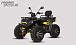 Квадроцикл PROMAX TAURUS 300 MAX-PRO LONG в Сызрани